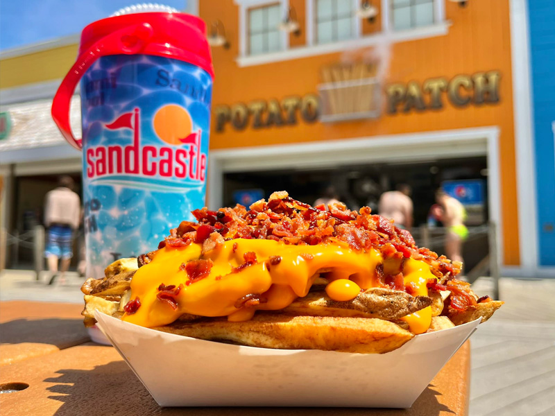 Sandcastle Water bottle and Potato Patch french fries