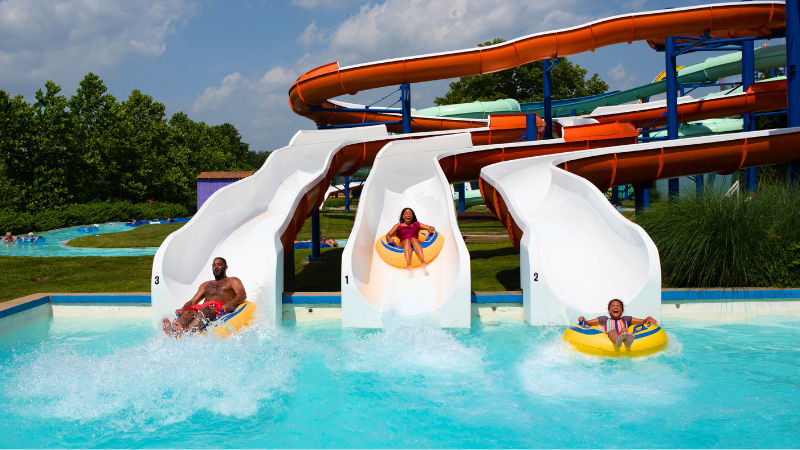 Guests enjoying the park